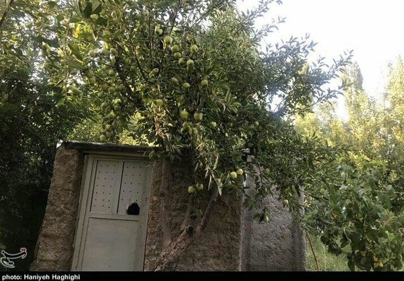 استان لرستان , اخبار استان لرستان , اخبار شهرستان بروجرد , 