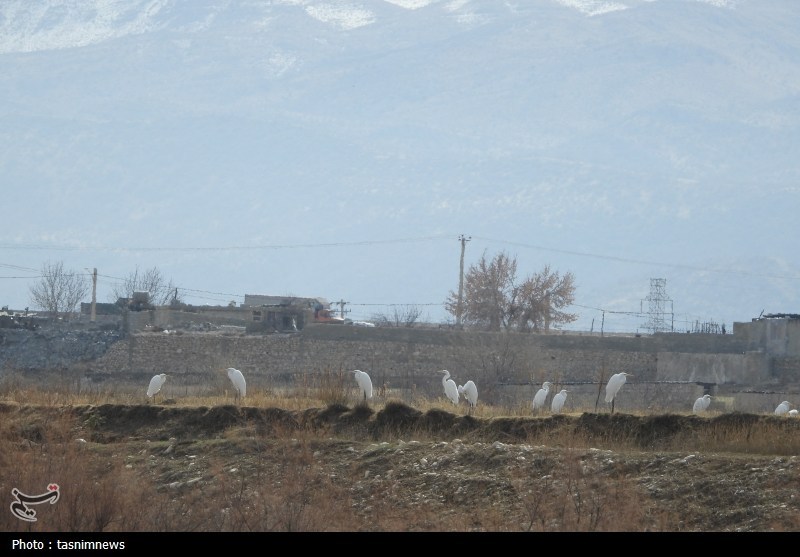 پایش و نظارت در محیط زیست , اخبار استان کهگیلویه و بویراحمد , 