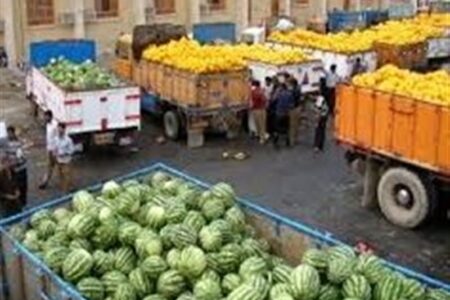 صادرات 16 هزار تن محصول کشاورزی فارس در دی‌ماه