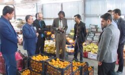 عرضه کالاهای اساسی در 11 سکوی تنظیم بازار میبد
