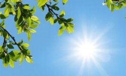 مازندران در مدار نوسان؛ از باد گرم بهاری تا برف زمستانی