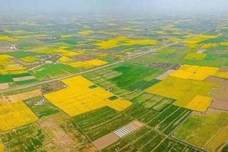 نقشه جدید کشت در لرستان با محور آب و اقلیم/ پاسخ دولت به تنش آبی