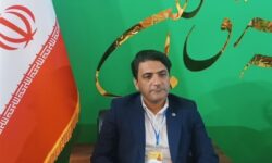 «یاقوت سرخ» فردوس در سودای بازارهای جهانی؛ احیای باغات کلید خورد