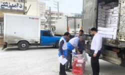 80 کیلوگرم فرآورده غیربهداشتی در عسلویه معدوم شد