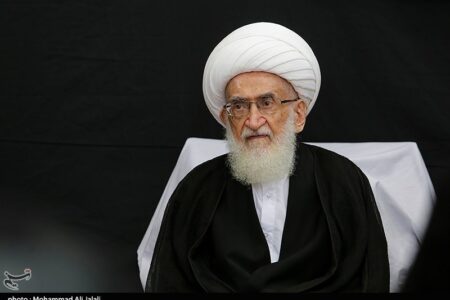 آیت‌الله نوری‌همدانی: همه پشت سر رهبر معظم انقلاب حرکت کنند‌