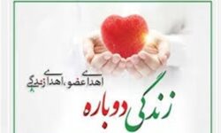 اهدای عضو و زندگی در روزهای جنگی به بیماران/خانواده سقزی ایثار کردند