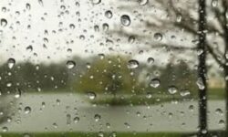 بارش‌ها در زنجان 9 درصد افزایش یافته است