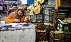 بازدید صبحگاهی  استاندار مازندران از بازار میوه و تره‌بار چالوس