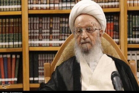 تأکید آیت‌الله مکارم‌شیرازی بر تسریع در انتخاب رهبری