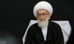 تأکید آیت‌الله نوری‌همدانی بر تسریع در انتخاب رهبری