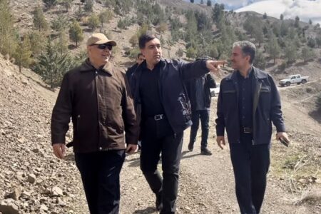 رفع سریع خاموشی‌ها در البرز پس از آسیب به شبکه برق