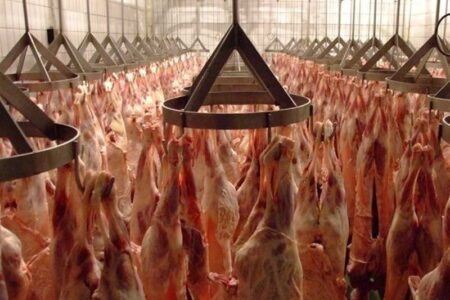 ورود گوشت حاصل از کشتار 3200 رأس دام به بازار سیستان و بلوچستان