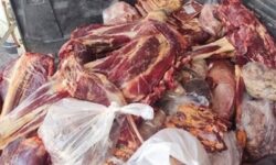 کشف و ضبط بیش از یک تن فرآورده خام دامی غیربهداشتی در زاهدان