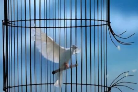 آزادی 9 محکوم مالی به همت خیر نیک‌اندیش کرمانی