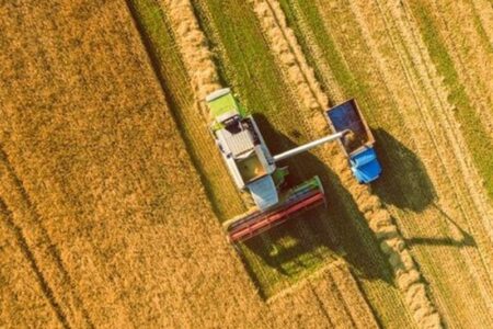 آغاز خرید تضمینی گندم در هرمزگان؛ تحویل هزار تن محصول به مراکز خرید