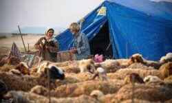 آغاز کوچ بهاره عشایر خراسان رضوی به مراتع سردسیر
