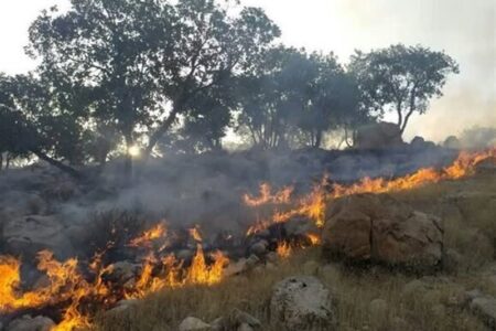 افزایش 33 درصدی وسعت حریق در اراضی مرتعی و جنگلی در چهارمحال و بختیاری