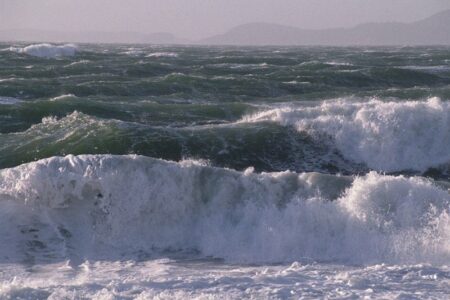 افزایش سرعت باد تا بیش از 50 کیلومتر در ساعت در استان بوشهر