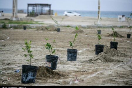 امضای تفاهم‌نامه همکاری تولید نهال و نهالکاری در سیستان و بلوچستان
