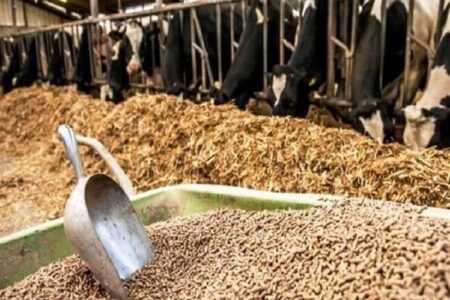 تأمین و توزیع گسترده نهاده‌های دامی در مازندران