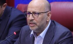 تأکید معاون وزیر اقتصاد بر ضرورت گذار از بانک‌محوری