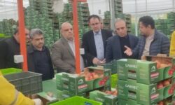 تجهیز 80 درصد واحدهای بزرگ تولیدی اردبیل به سوخت دوم