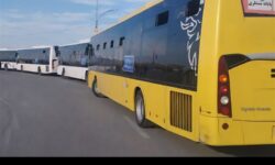 تخصیص 300 اتوبوس‌ به جابه‌جایی رایگان بانوان در گردهمایی دهه کرامت