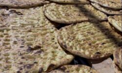 تدابیر ویژه برای نان مردم؛ از دیزلی کردن نانوایی‌ها تا تولید نان صنعتی