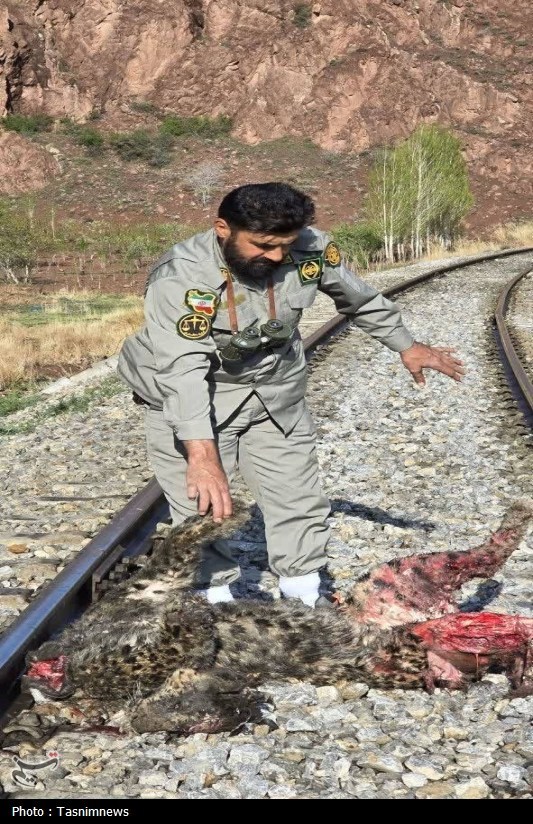 اخبار شهر ری , 