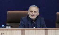 تولد 519 نوزاد در نوروز امسال در زنجان