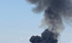 حمله موشکی آمریکایی –  صهیونی به مرغداری، گلخانه وچادر عشایری در بوشهر
