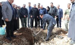 روز طبیعت، روز درختکاری و امیدآفرینی است