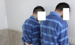 سربازان وطن‌فروش آمریکایی ـ صهیونی در تور اطلاعات/ 313 نفر دستگیر شدند