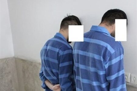سربازان وطن‌فروش آمریکایی ـ صهیونی در تور اطلاعات/ 313 نفر دستگیر شدند