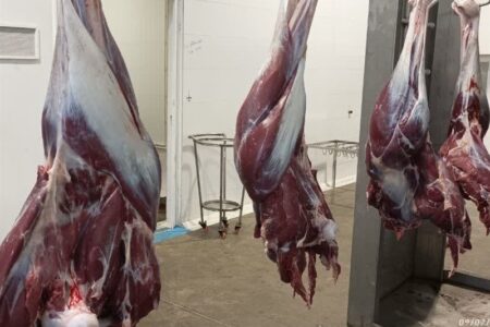 عرضه بیش از 5600 تن گوشت مرغ گرم در هرمزگان از ابتدای سال