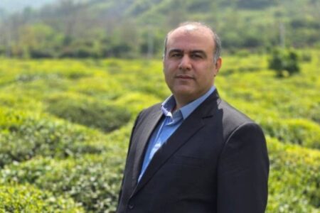 لنگرود قهرمان پرداخت مطالبات چای/ 3 ماه زودتر از سایر شهرستان‌ها