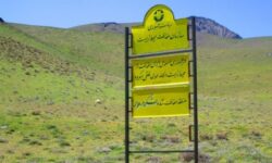 منطقه حفاظت شده لشگردر؛ نگینی زیبا در دل طبیعت ملایر