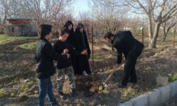 کاشت نهال امید به دست دختران شهید رسول محمدی+تصاویر