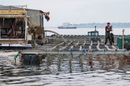 گزارش|پیشروی آبزی‌پروری در سمنان؛ رشد تولید میامی و توسعه طرح‌های نوین