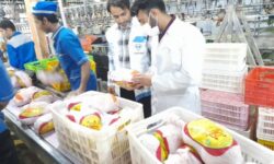 آغاز عملیات گسترده نظارت میدانی از بازار