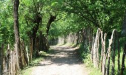 از پل حسرت تا بهشت ارسباران؛ روایتی جذاب از شگفتی‌های خداآفرین