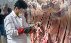 استقرار قربانگاه‌های موقت در یزد با تشدید نظارت‌های بهداشتی
