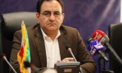 تجمعات شبانه در سه هدف خون‌خواهی، مقابله با تجاوز و وحدت بی‌نظیر است