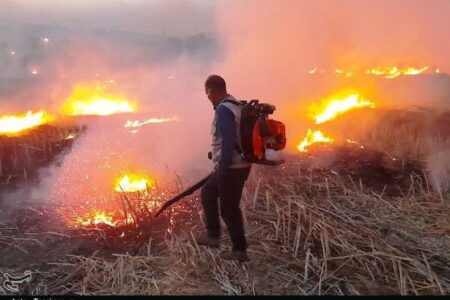 تشکیل 350 پرونده قضایی برای آتش‌سوزی در مزارع خوزستان