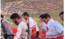 حمله خرس به کوهنورد 36 ساله در ارتفاعات ونک