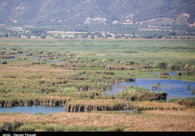 اخبار مریوان , استان کردستان , اخبار استان کردستان , پایش و نظارت در محیط زیست , صنایع آلاینده محیط زیست , عوارض آلایندگی محیط زیست , فراکسیون محیط زیست مجلس , ستاد توسعه اقتصاد دانش‌بنیان آب، اقلیم و محیط زیست , استاندار کردستان , 