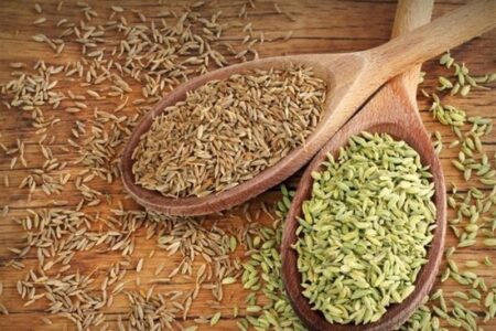 ‌زیره سبز به خراسان شمالی رفت؛ کشت 800 کیلو زیره در هر هکتار