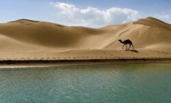 سفر به روستایی که جهان را شگفت‌زده می‌کند/تلاقی دریا و کویر در درک!