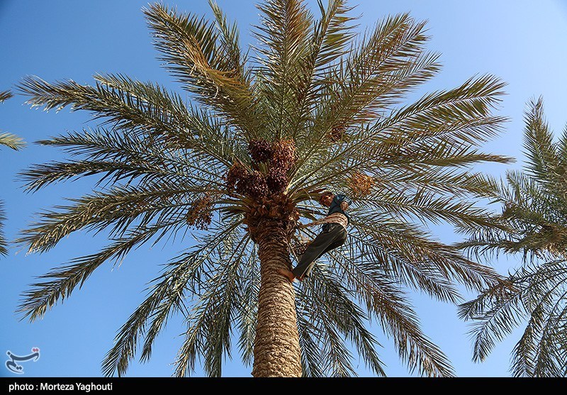 اخبار بلوچستان , 