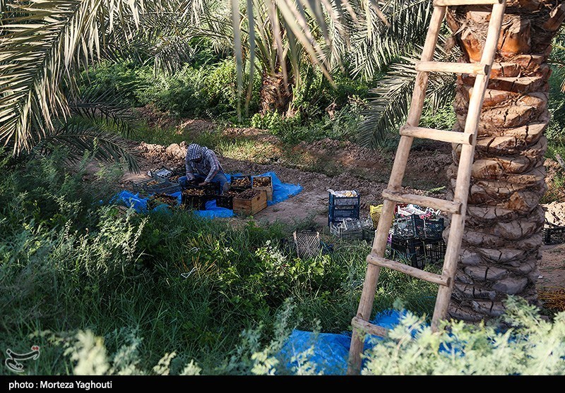 اخبار بلوچستان , 